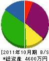 川井電気商会 貸借対照表 2011年10月期