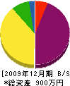 尾瀬建設所 貸借対照表 2009年12月期