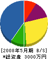 丸山工業所 貸借対照表 2008年5月期