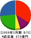 渡辺パイプ 貸借対照表 2009年3月期