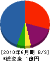 真田組 貸借対照表 2010年6月期