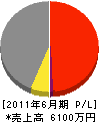 稲井商店 損益計算書 2011年6月期