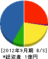 丸山電業 貸借対照表 2012年9月期