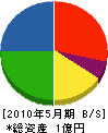 秋山組 貸借対照表 2010年5月期