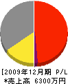 カタヤマ 損益計算書 2009年12月期
