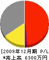 カタヤマ 損益計算書 2009年12月期 カタヤマ 損益計算書 2009年12月期