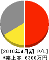 河瀬建設 損益計算書 2010年4月期