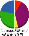 新日本規制 貸借対照表 2010年5月期