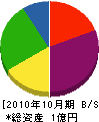 渡橋組 貸借対照表 2010年10月期