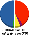 朝日テクノ 貸借対照表 2009年3月期