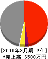 渡辺総建 損益計算書 2010年9月期