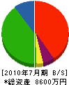 中垣建設 貸借対照表 2010年7月期