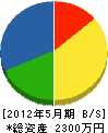 藤田建設 貸借対照表 2012年5月期