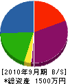 長野温泉地質研究所 貸借対照表 2010年9月期