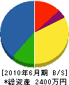 手塚電気 貸借対照表 2010年6月期