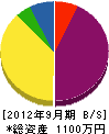 日本水研 貸借対照表 2012年9月期