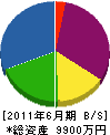 岩井組 貸借対照表 2011年6月期