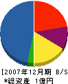山国建設 貸借対照表 2007年12月期