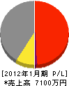 東九州産業 損益計算書 2012年1月期