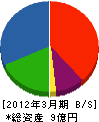 竹本建設 貸借対照表 2012年3月期