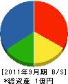 田中電気商会 貸借対照表 2011年9月期
