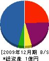 水輝管工 貸借対照表 2009年12月期