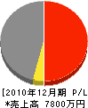 サカテ工業 損益計算書 2010年12月期