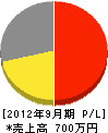 長崎県グリーン事業（同） 損益計算書 2012年9月期