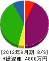 沖田電気設備 貸借対照表 2012年6月期