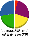 本杉建設 貸借対照表 2010年5月期