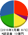 日本環境調査研究所 貸借対照表 2010年3月期