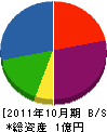 平塚工務店 貸借対照表 2011年10月期
