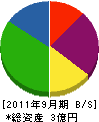 昌栄電設 貸借対照表 2011年9月期