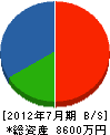 柳川建設 貸借対照表 2012年7月期