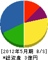 張山電氣 貸借対照表 2012年5月期