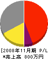 梶尾組 損益計算書 2008年11月期
