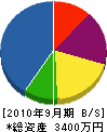 田迎電気設備 貸借対照表 2010年9月期