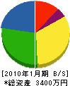 上田信州電機 貸借対照表 2010年1月期