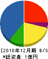 昭栄興業 貸借対照表 2010年12月期