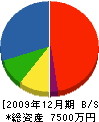 葵建設 貸借対照表 2009年12月期