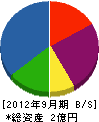田中建設 貸借対照表 2012年9月期