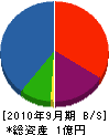 峯村ホーム 貸借対照表 2010年9月期