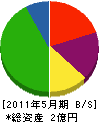 東亜飯田 貸借対照表 2011年5月期
