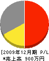 脇阪工務店 損益計算書 2009年12月期