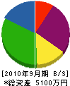 和光造園緑地建設 貸借対照表 2010年9月期 和光造園緑地建設 貸借対照表 2010年9月期