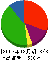 南光電機商会 貸借対照表 2007年12月期