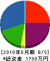 鎌田さく泉工業 貸借対照表 2010年6月期