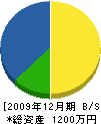 小田建設 貸借対照表 2009年12月期