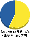 松田建設 貸借対照表 2007年12月期