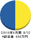 新和電業社 貸借対照表 2010年6月期 新和電業社 貸借対照表 2010年6月期